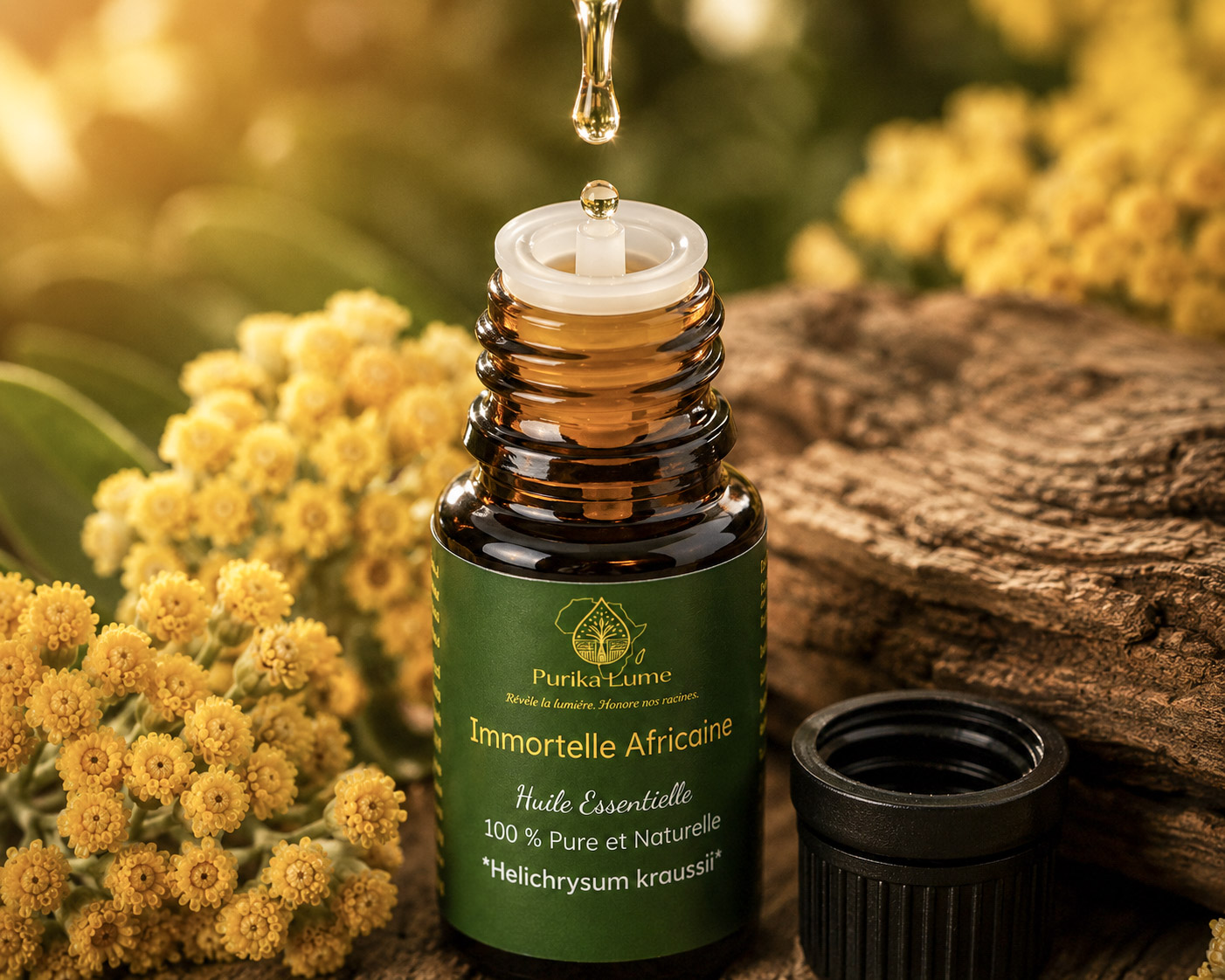 African Immortelle BIO — Huile Essentielle Sacrée