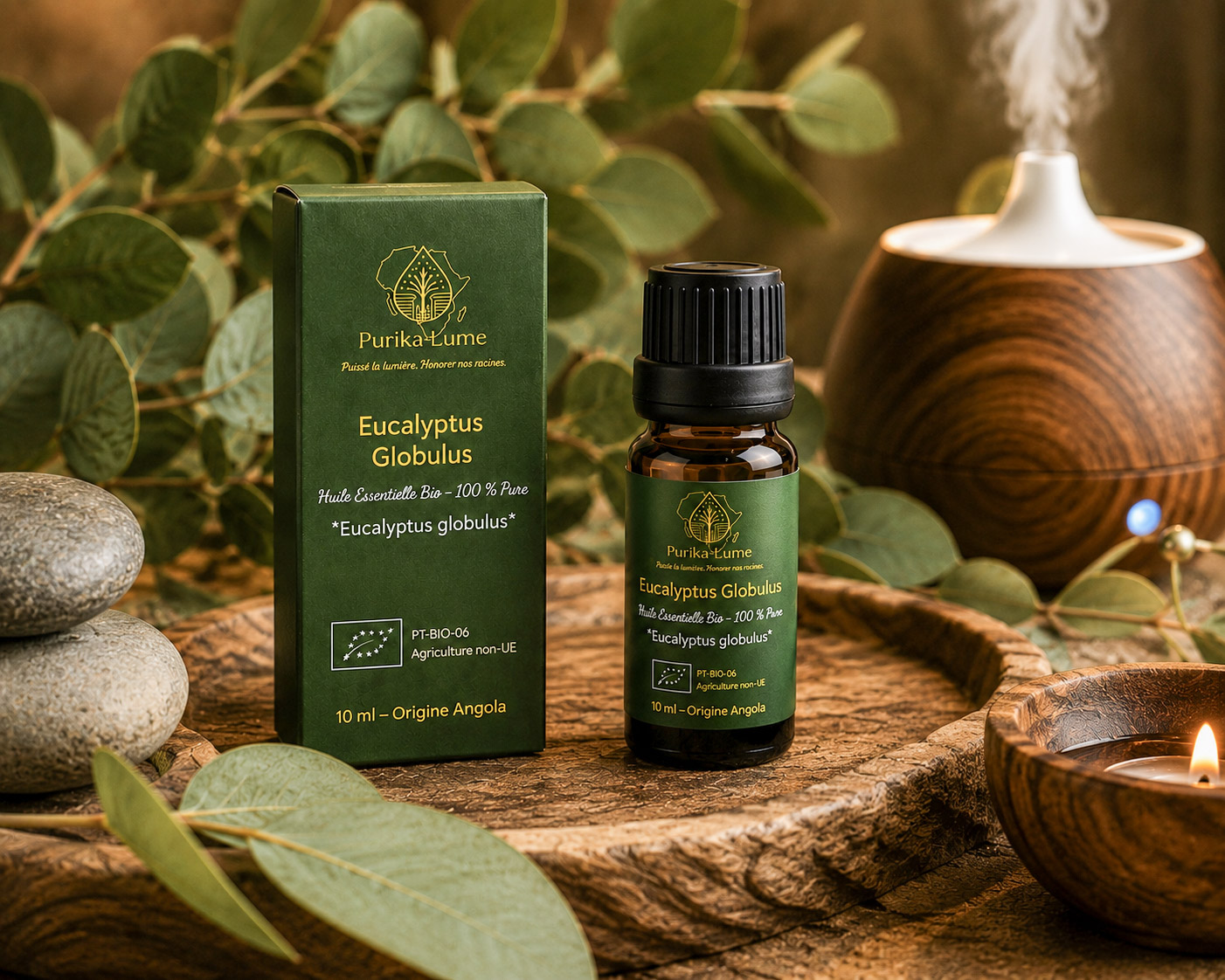 Eucalyptus Globulus BIO — Huile Essentielle Sacrée