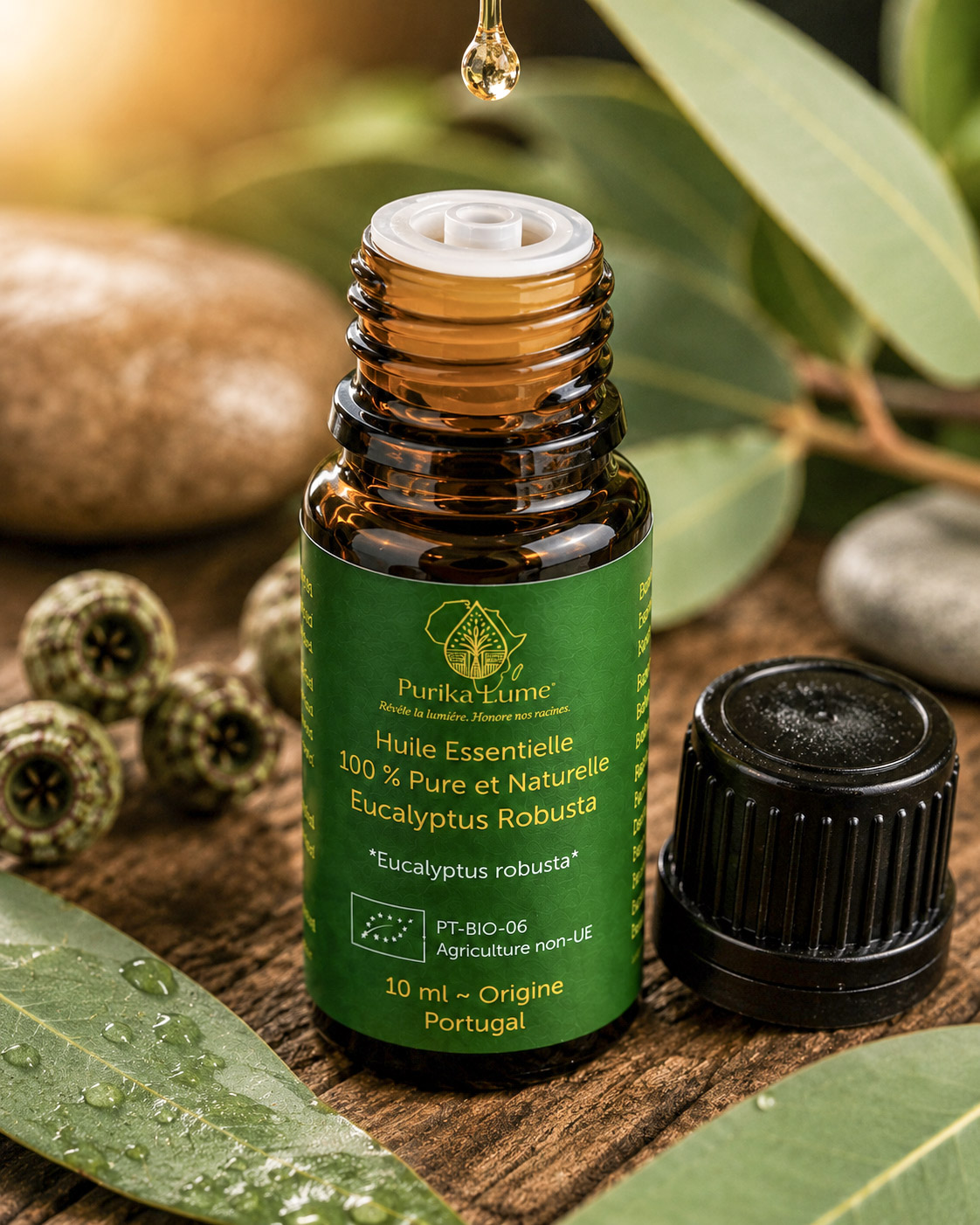 Eucalyptus Robusta BIO — Huile Essentielle Sacrée