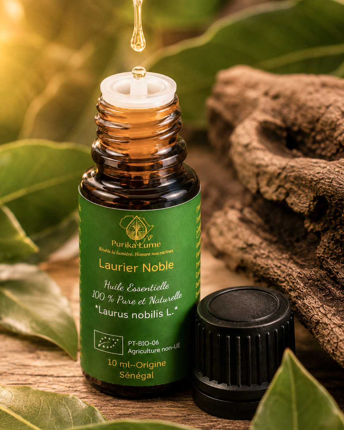 Laurier Noble BIO — Huile Essentielle Sacrée