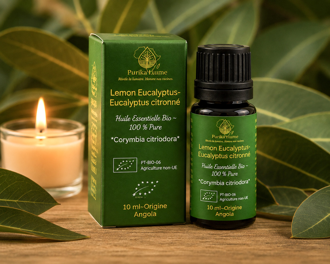 Lemon Eucalyptus BIO — Huile Essentielle Sacrée
