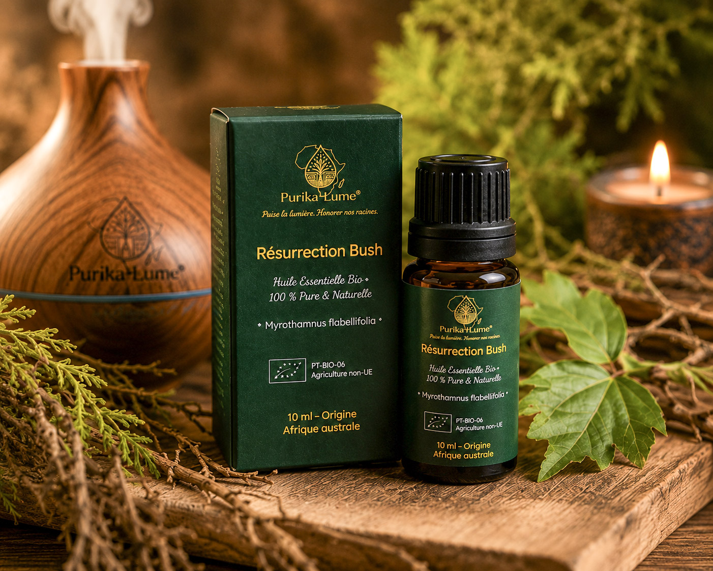 Resurrection Bush BIO — Huile Essentielle Sacrée